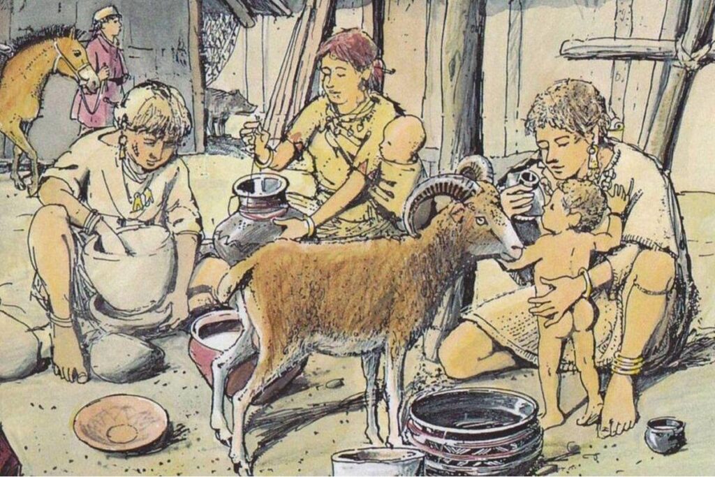 Tomar leite de animais facilitou o desmame