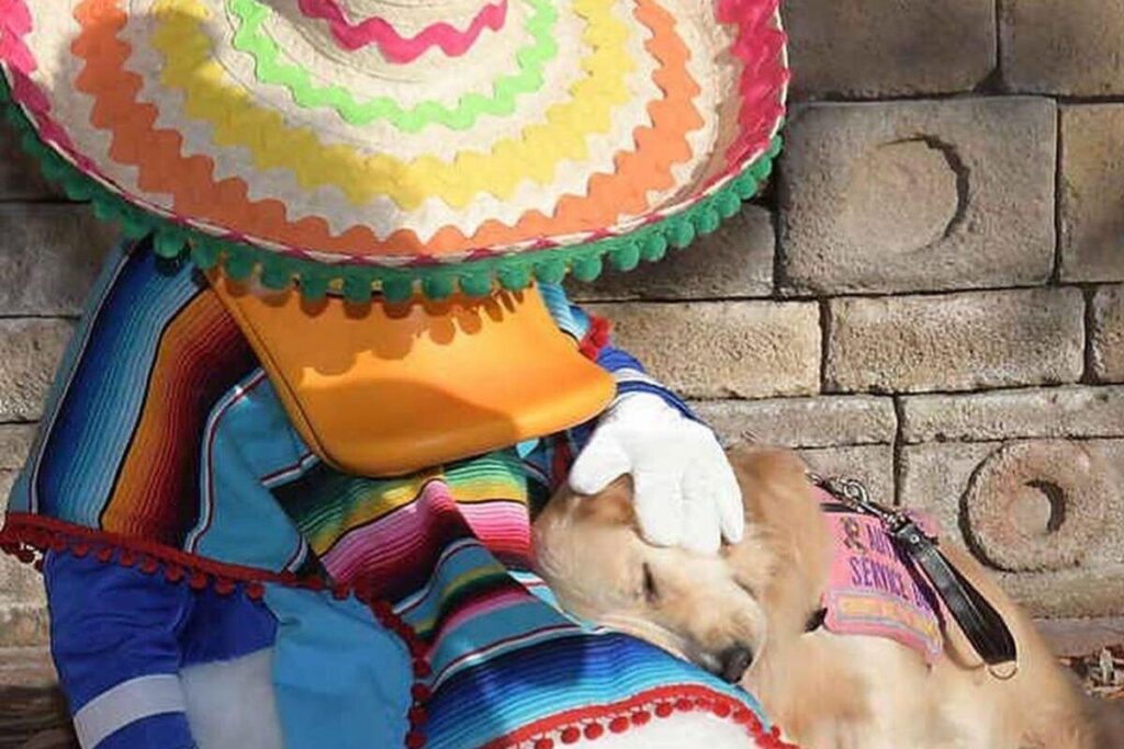 Nala é uma cadela de serviço