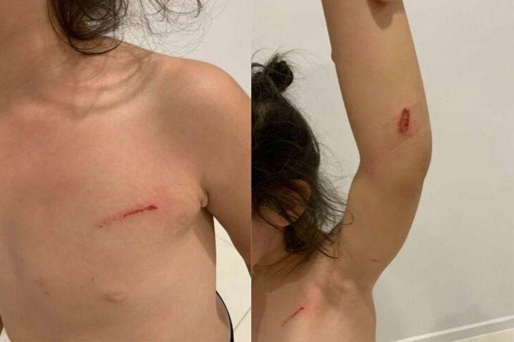 Abby chegou assim em casa