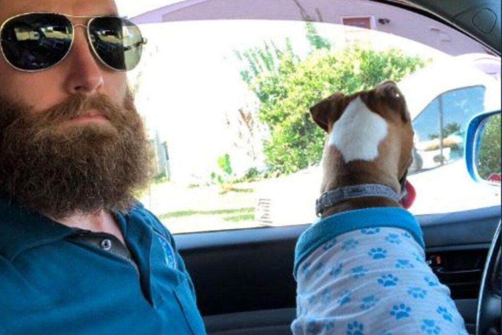 Frosting é muito apegado aos donos