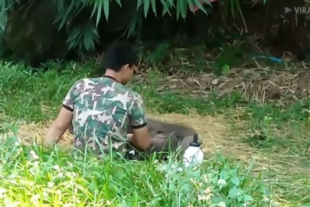 Ele pediu colo ao cuidador