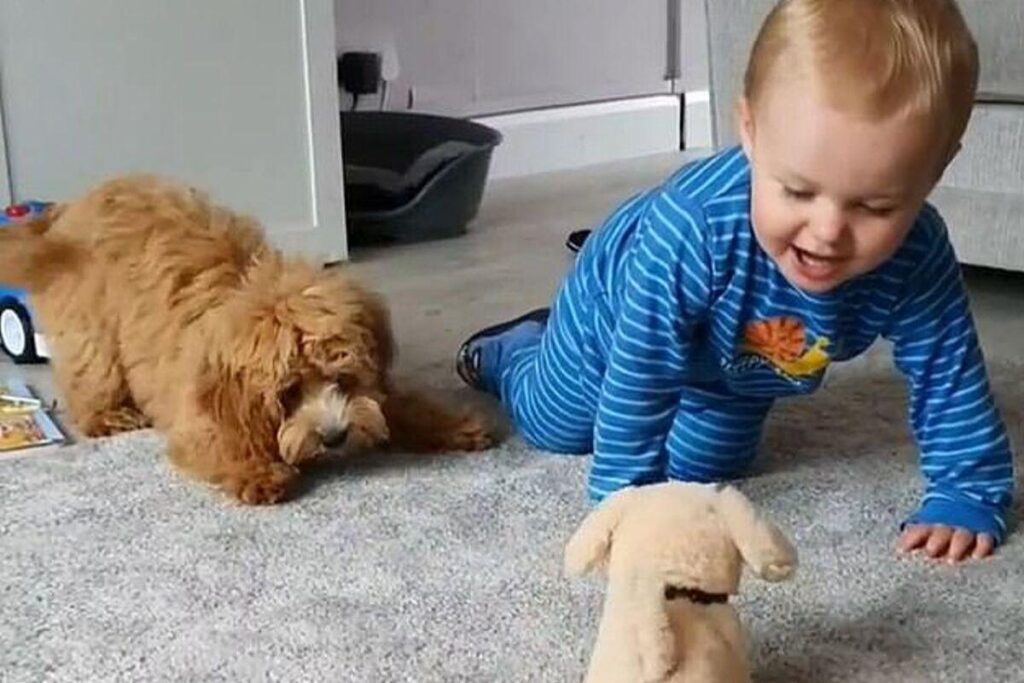 Adam, Charlie e Abigail