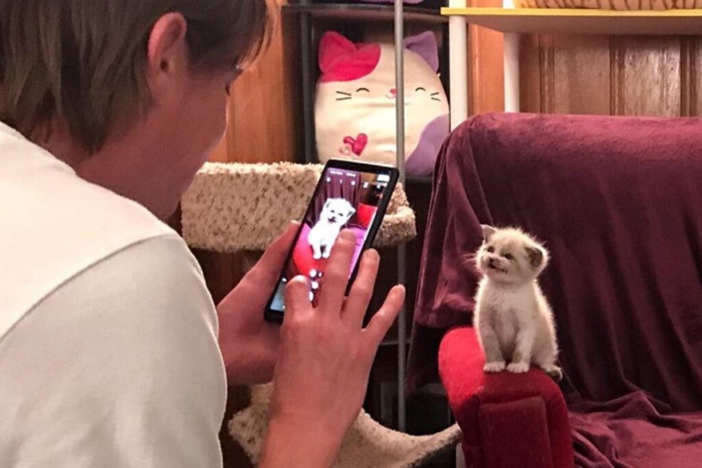 Blossom é uma das três filhotes que está para adoção