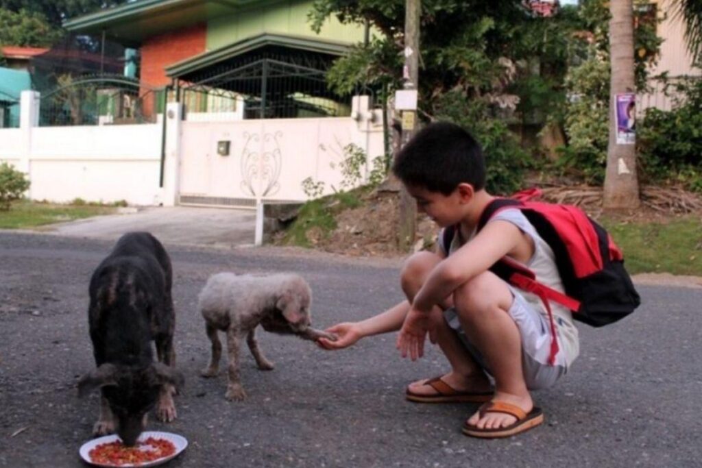 Ken gastava todas as suas economias com os animais de rua