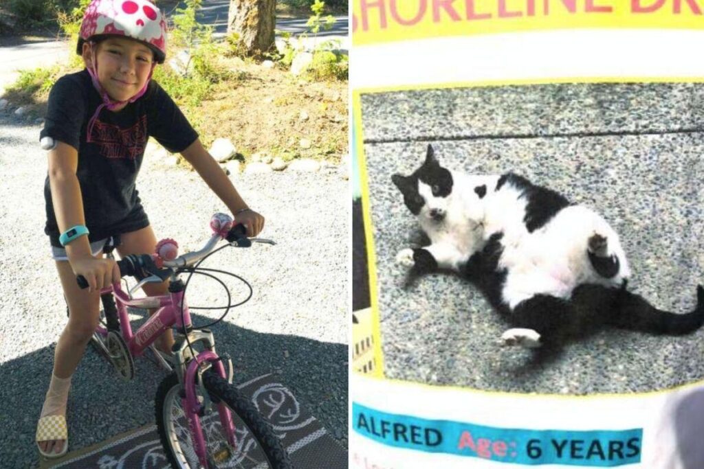 Em poucas horas após o início das buscas, Alfred estava em casa com a família