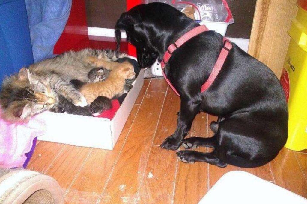 A amizade dos dois aconteceu no portão de casa