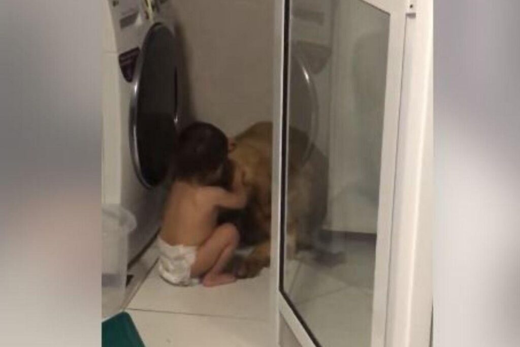 Os dois são inseparáveis!