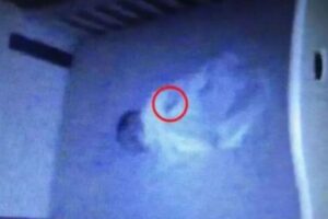 Uma mãe levou um susto ao ver uma aranha em cima do filho