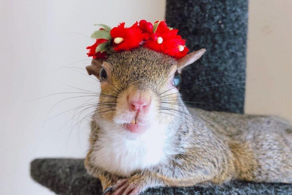 Jill posta diversas fotos e vídeos do dia a dia