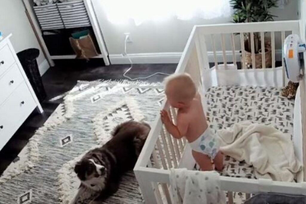 Ele já amava Everett antes de conhecer o irmão humano