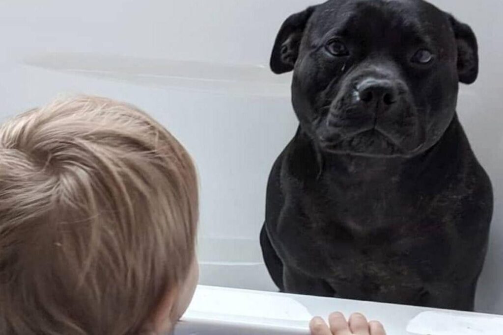 Será que a água estava boa?