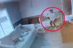 Na foto, Leila, o marido e os 4 filhos