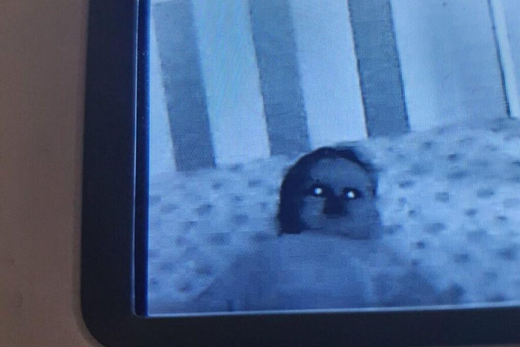 Imagina só se deparar com essa imagem de noite?