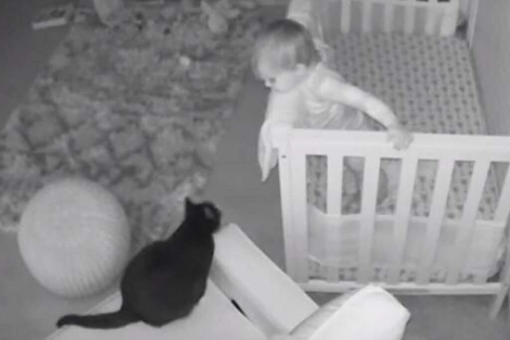 O que será que eles estavam falando?