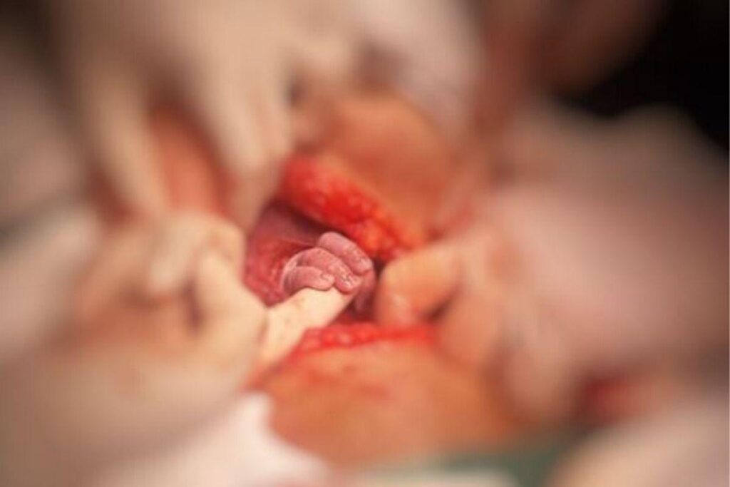 Ana Clara, Thayane, Sofia e Paulo