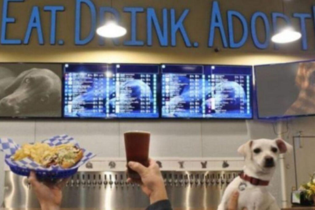 “Coma, beba, adote”