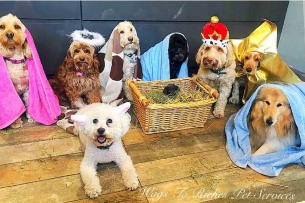 Olha como ficou legal