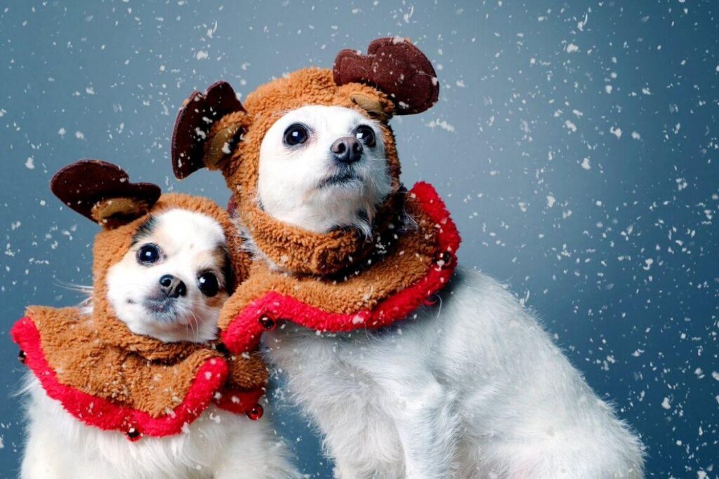 A foto parecia feliz, mas…