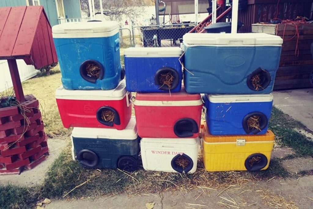 Este é Philip Rogich