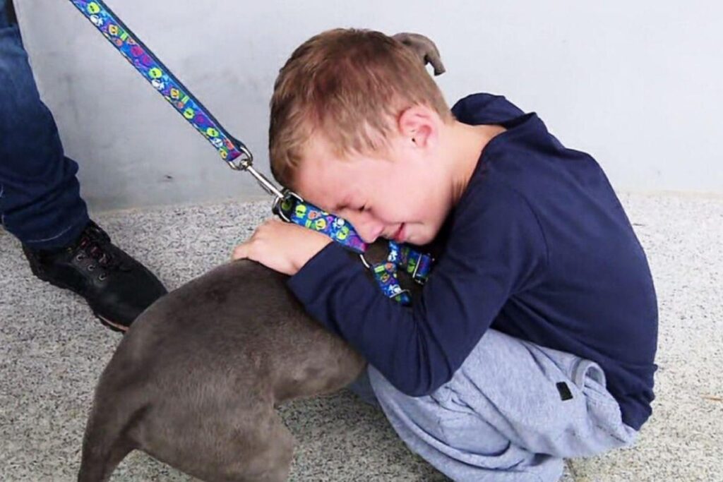 Eles são inseparáveis