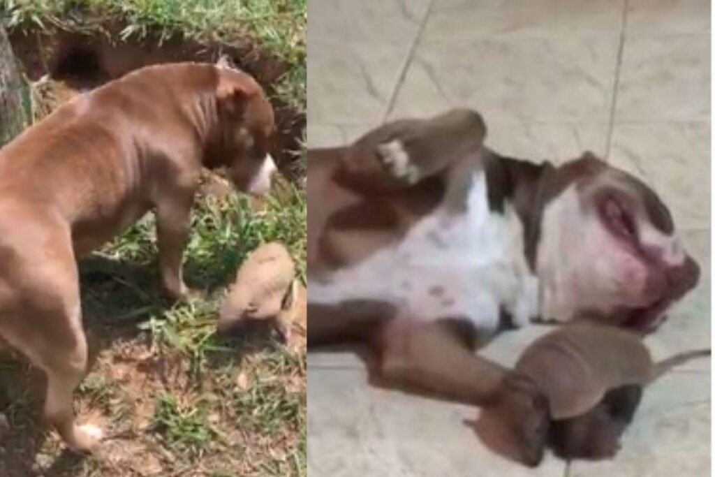 A gente não aguenta!