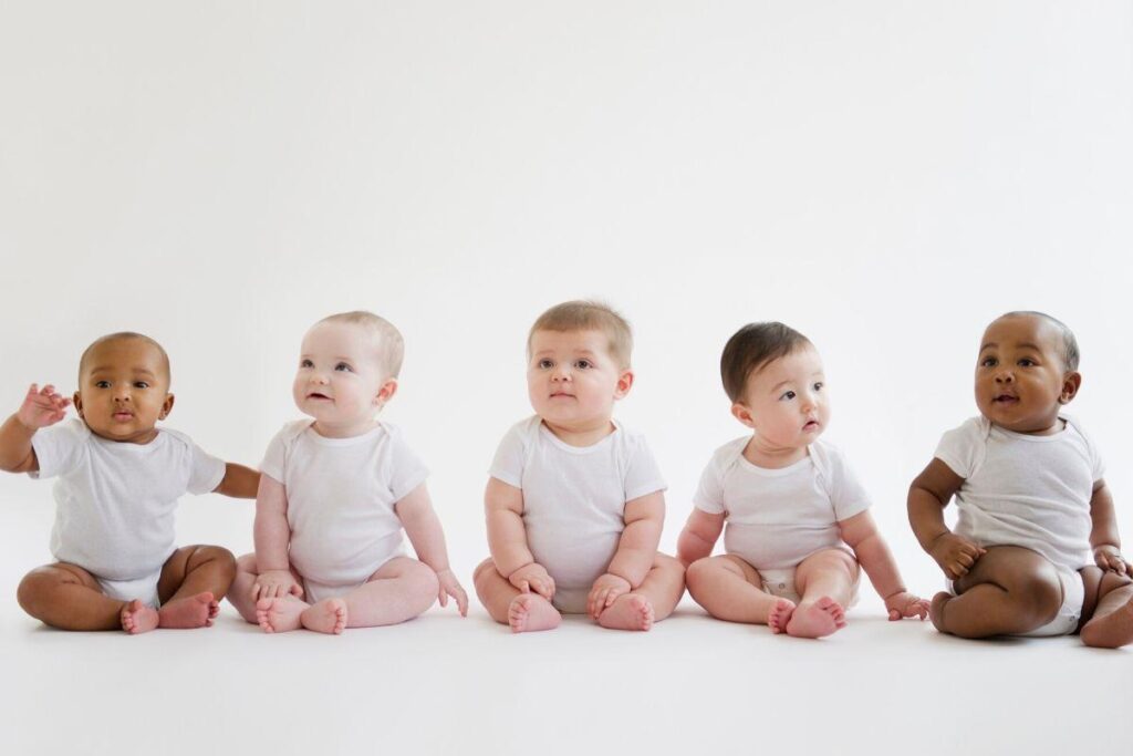 O governo disponibilizou diversos dados