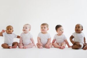 O governo disponibilizou diversos dados