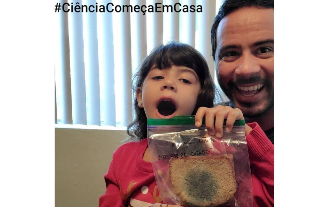 Fatias que foram usadas no experimento