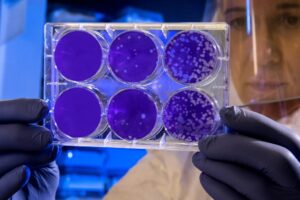 Prevenir é sempre o melhor remédio