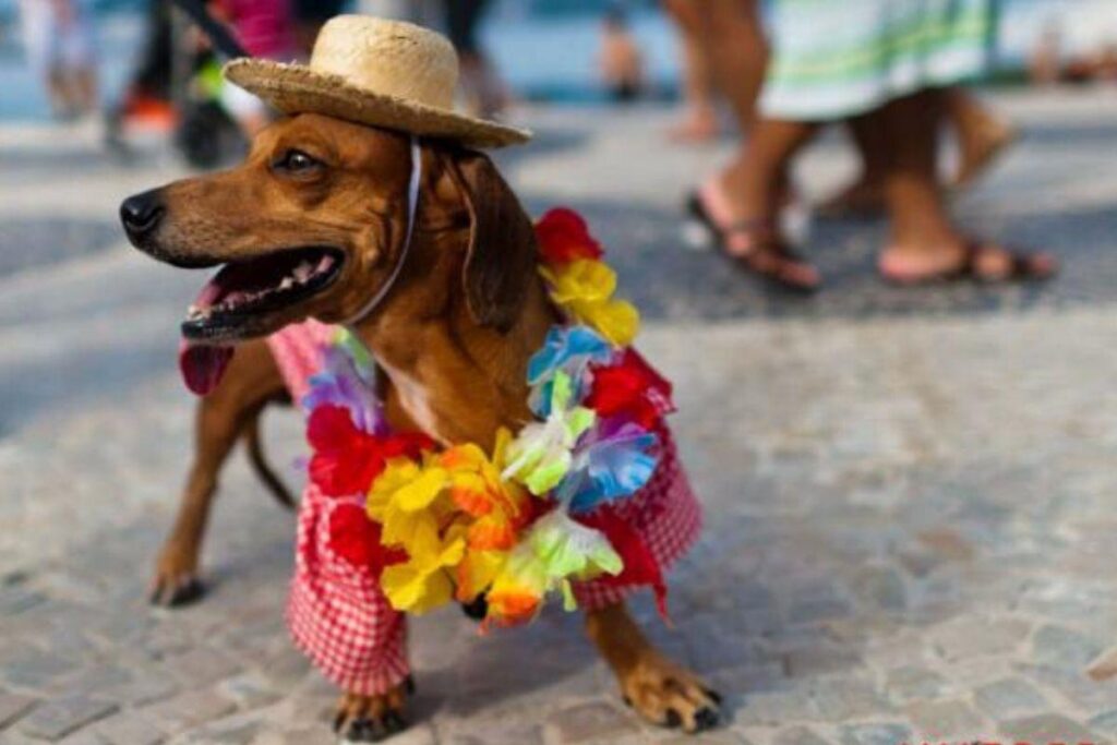 As dicas são valiosas!
