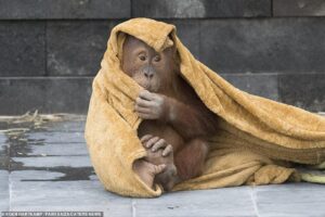 Quem vê essa carinha não imagina que Berari faz birras!