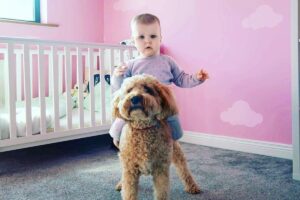 Não há nenhum problema em gestantes terem animais