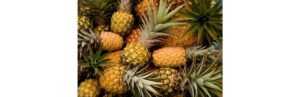 Além de muito gostoso, o abacaxi traz benefícios para a saúde