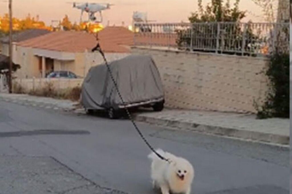 Homem usa drone para caminhar com seu cachorro durante quarentena e você pode conferir o resultado aqui