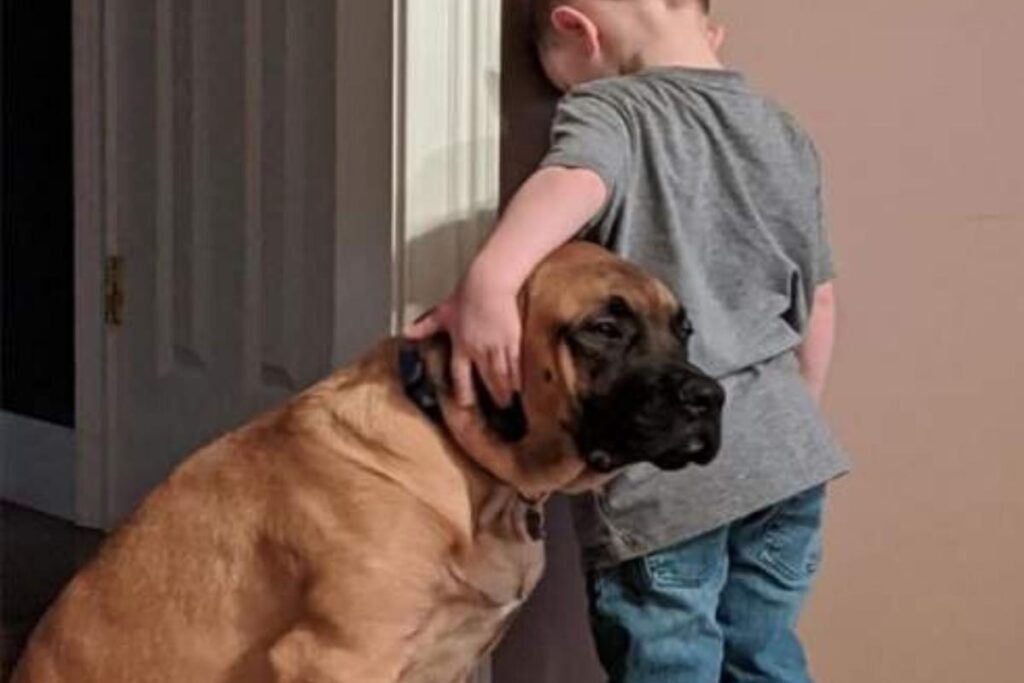 Cachorro fica de castigo com criança