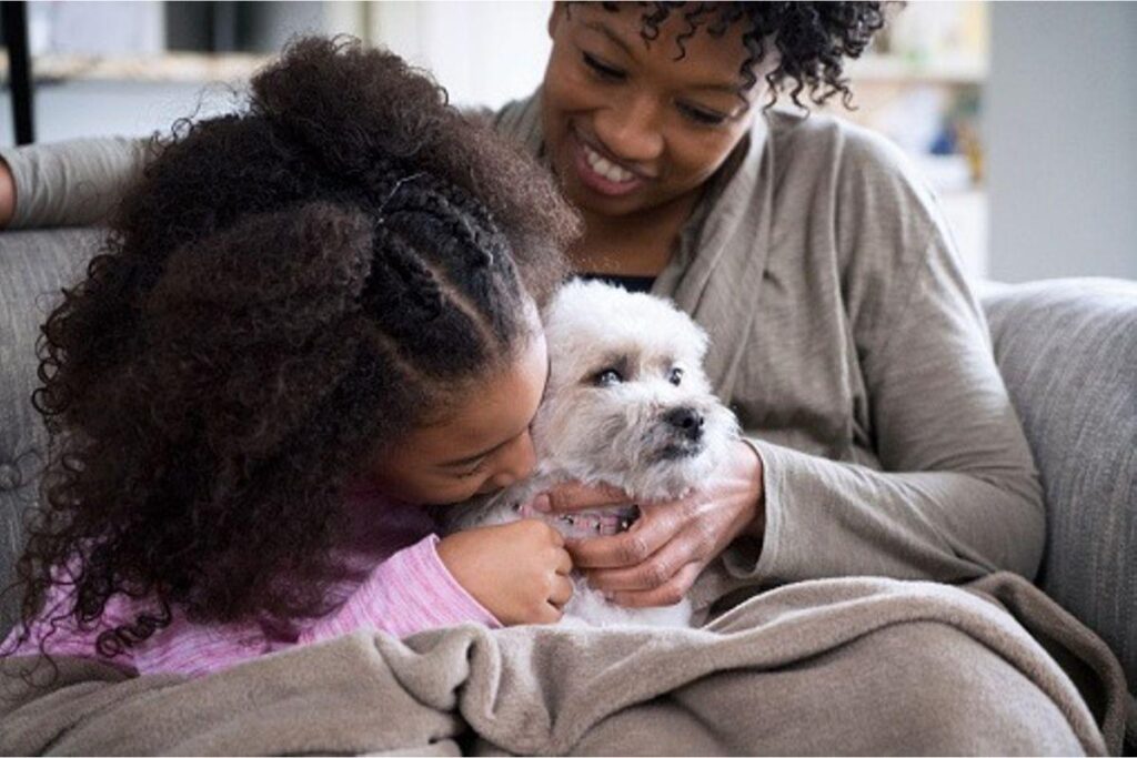 Os tutores devem cuidar bem de seus animais, especialmente nesse momento de crise