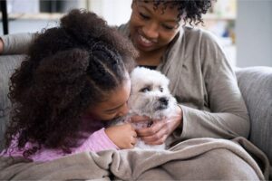 Os tutores devem cuidar bem de seus animais, especialmente nesse momento de crise