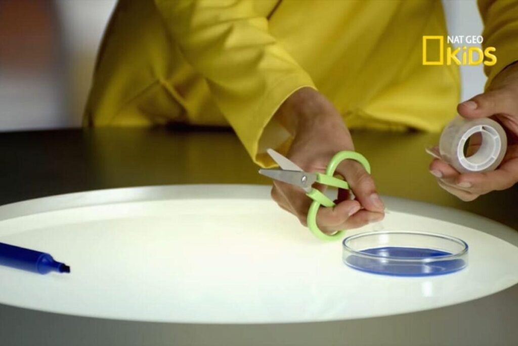 Saiba como transformar sua casa em um laboratório científico