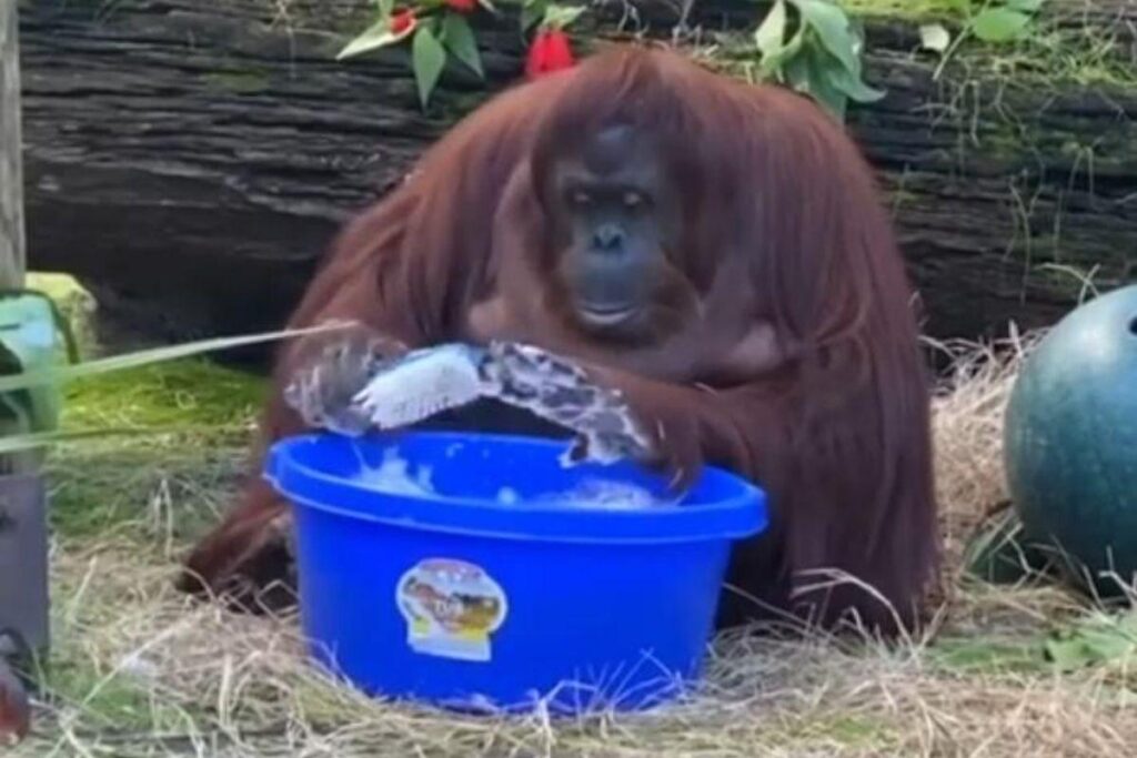 Crianças lavando as mãos