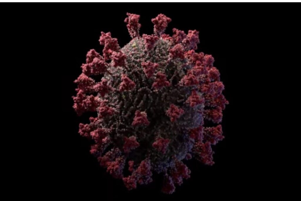 Estúdio mostra o coronavírus em 3D