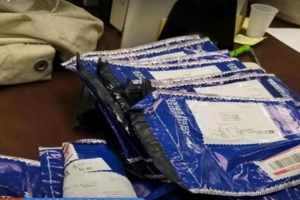 Família encontra 1 milhão de dólares em rodovia