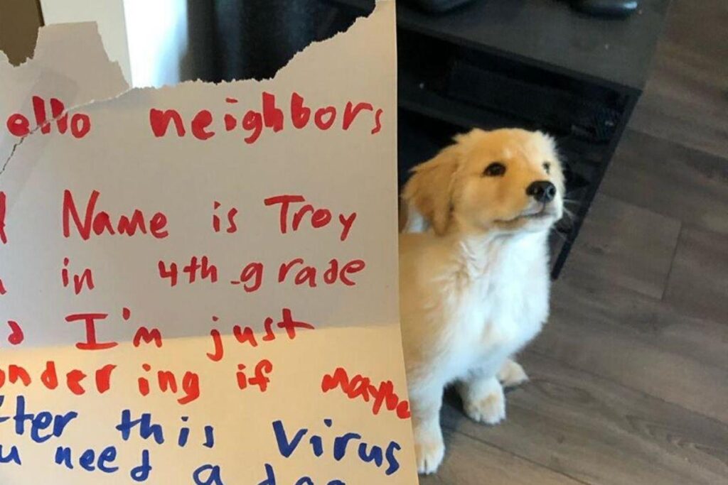 Criança envia carta para vizinhos