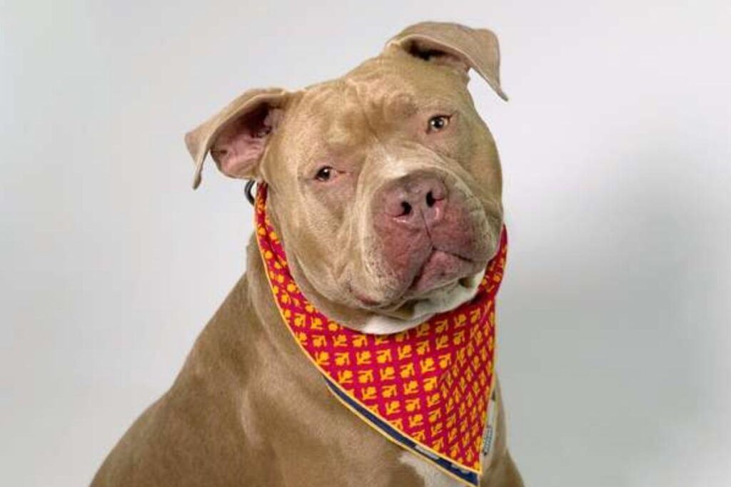 A gente amou o resultado!