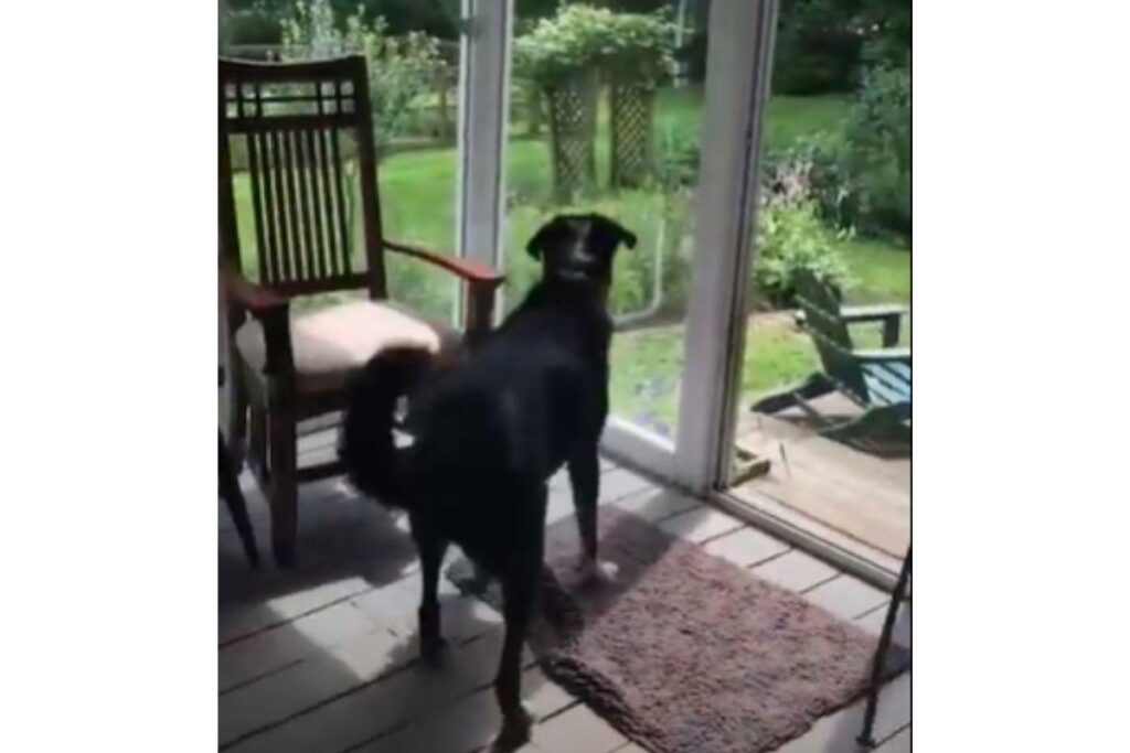 Ele deixou todo mundo de boca aberta!