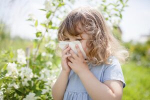 Uma alimentação equilibrada é fundamental para ter todos os nutrientes necessários