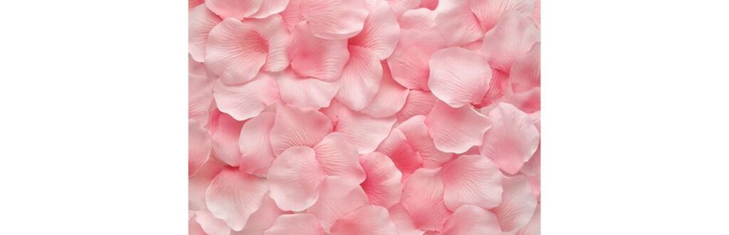 A placenta é essencial para que a gravidez corra bem, mas podem acontecer algumas complicações