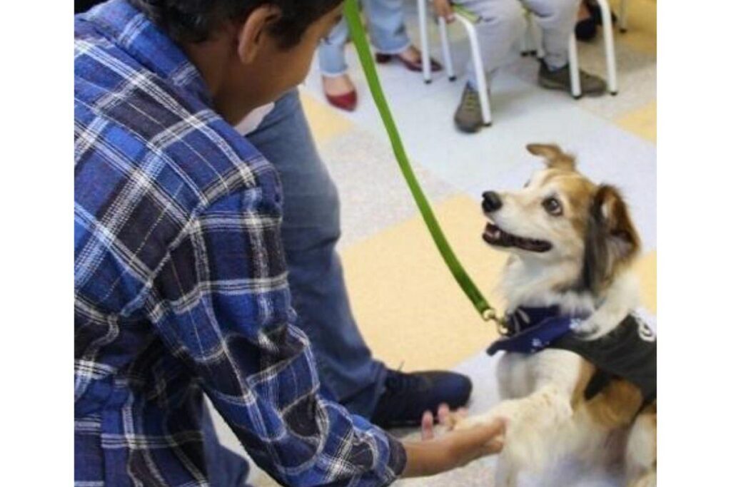 A dupla e o cuidador