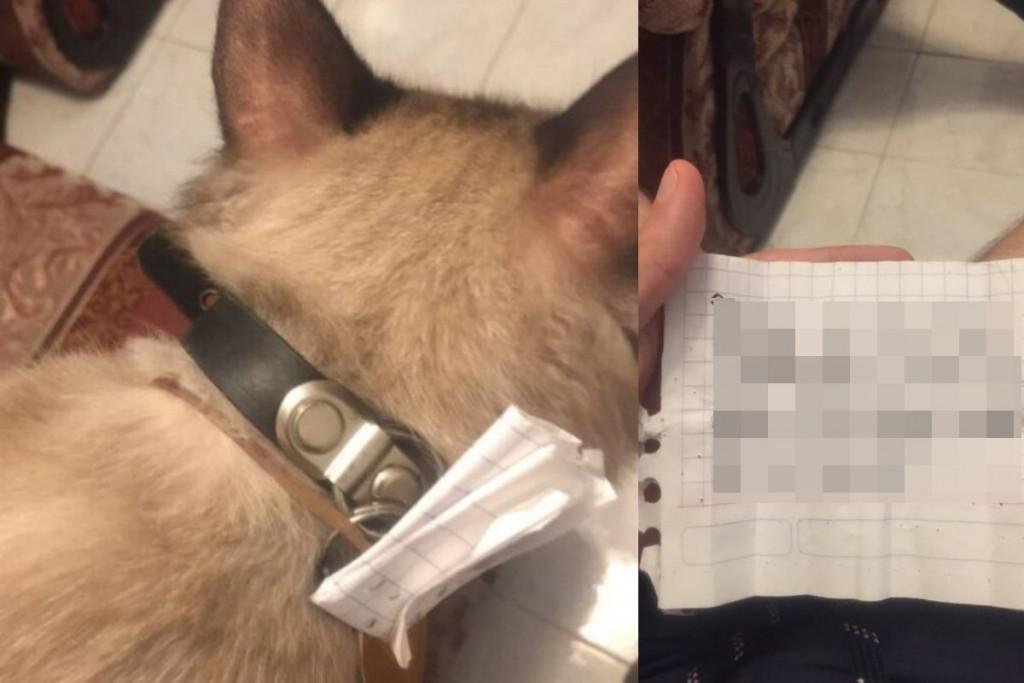 Nilo deixou Héctor muito surpreso com a mensagem misteriosa