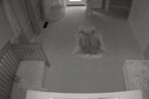 Desesperador! Vídeo mostra estante caindo em cima de gêmeos