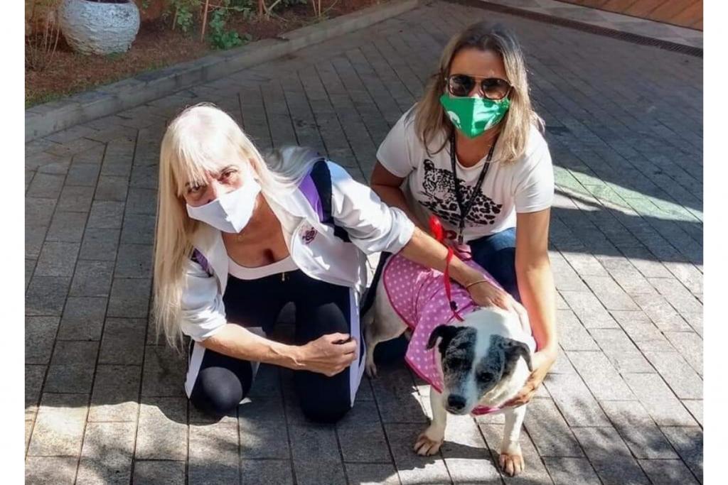 Peppa foi adotada após passar dez anos em um canil